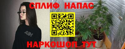 спиды Обь